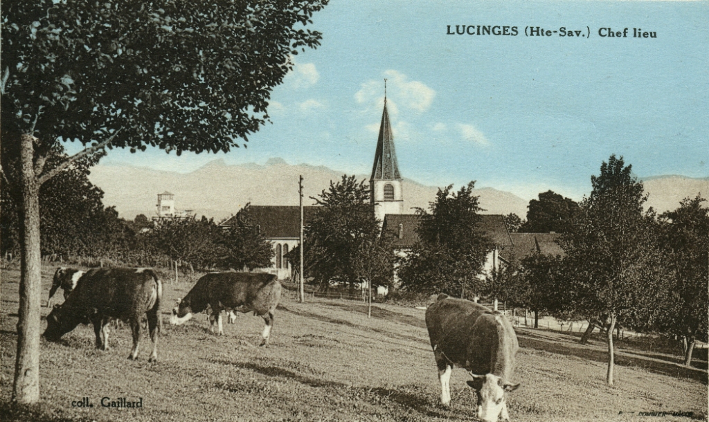 Bibliothèque Mairie de Lucinges (74)